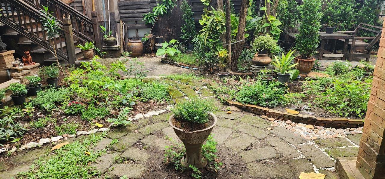 Cozy Nest Cnx Hostel Chiang Mai Exterior foto