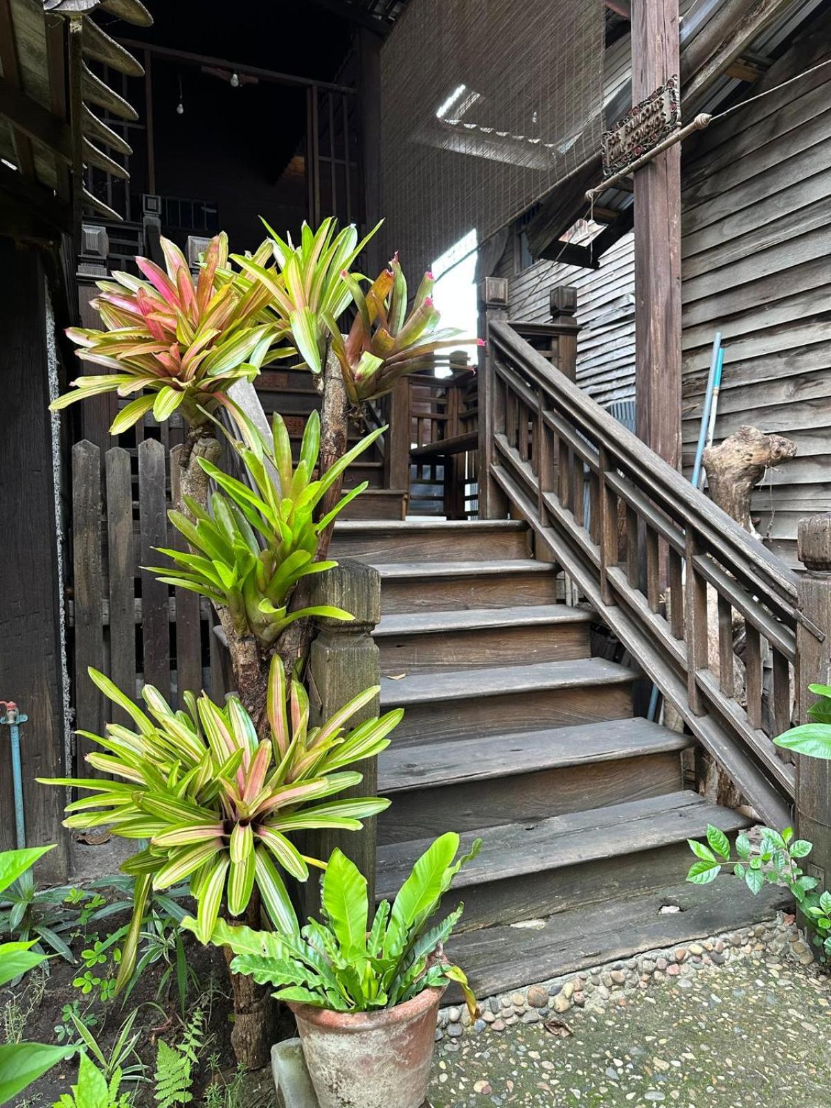 Cozy Nest Cnx Hostel Chiang Mai Exterior foto